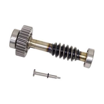 CAME spare part 119RID228 second crown reduction group and worm screw - FAST