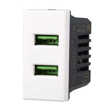 USB charger with 2 USB sockets compatible Bticino Axolute Type-A 5Vdc 2.1A Type-A white color Ettroit AB2402