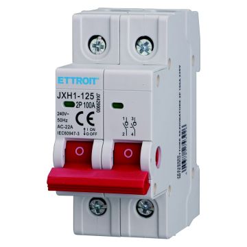ETTROIT DIN Rail Mount Switch Disconnector 2P 100A 240V - JX429900