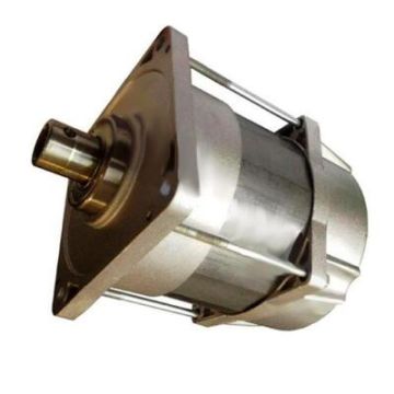 CAME replacement swing gate motor unit FERNI F1024 - 119RID095